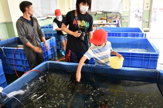 0708fish3.jpg