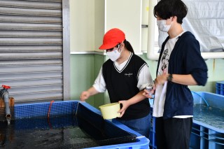 0708fish4.jpg