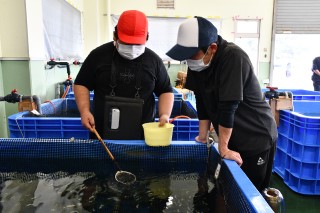 0708fish5.jpg