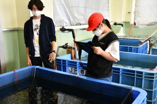 0708fish8.jpg