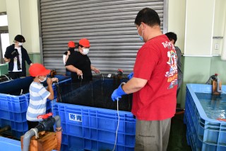 0708fish9.jpg