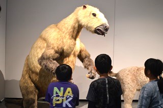 DSC_0838a.jpg