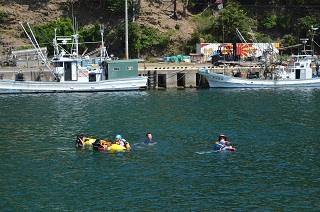 DSC_1191a.jpg