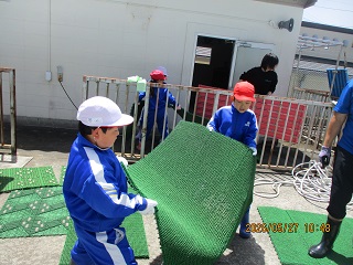 IMG_6967a.jpg
