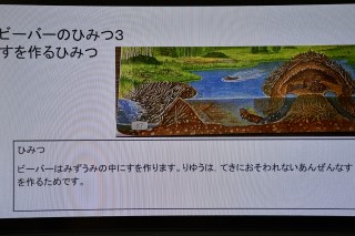 1026japa11.jpg