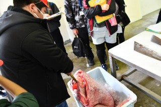 1108sangyo14.jpg