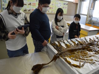 DSC_0334kansatu444.jpg