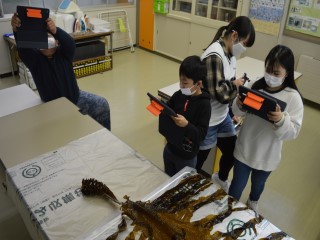 DSC_0336kansatu555.jpg