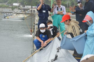 DSC_0877nagasu424.jpg