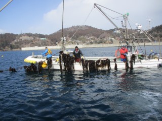 IMG_0805sagyou222.jpg