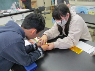 IMG_3564origami4444.jpg