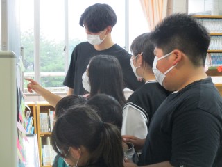 IMG_7685miau33.jpg