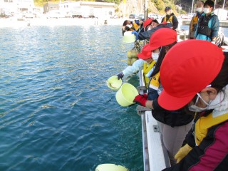 IMG_houryu11.jpg