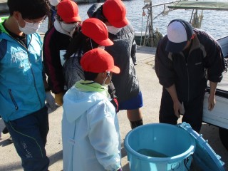 IMG_kyoumi111.jpg