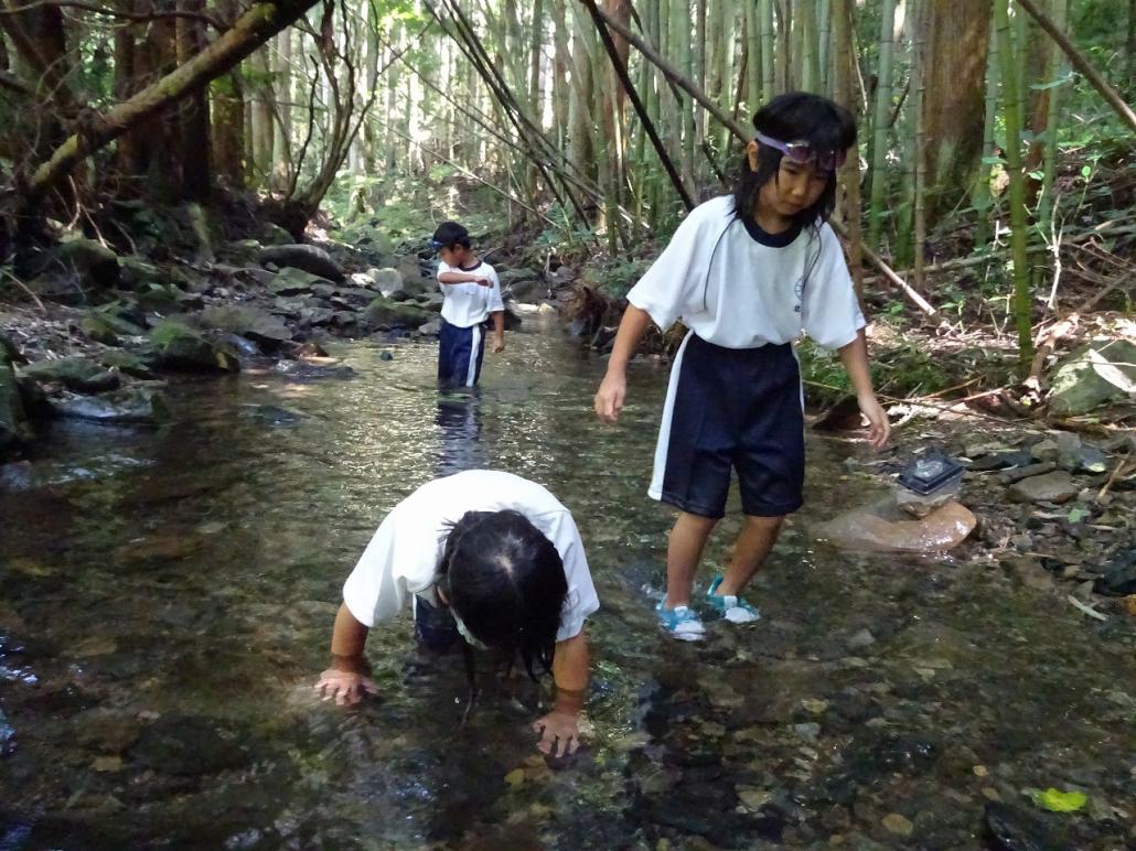 の画像