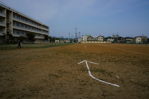 の画像