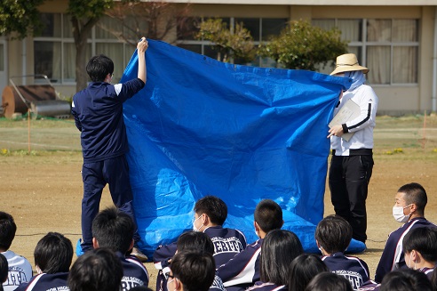 の画像