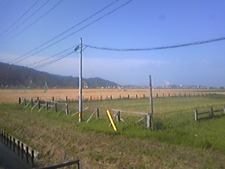 bakushuu1の画像