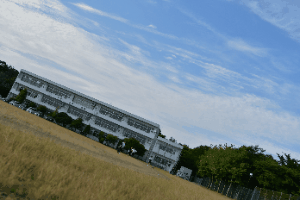 GIF.gif