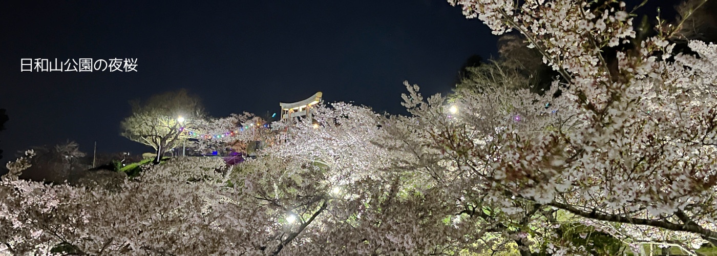 日和山の夜桜の画像