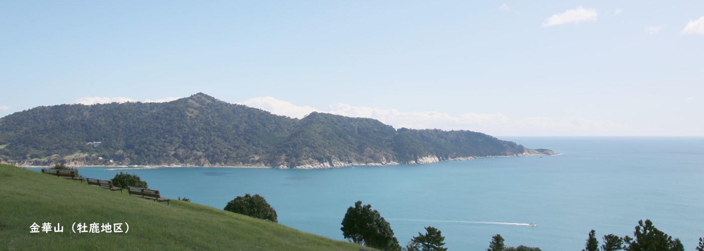 金華山の画像