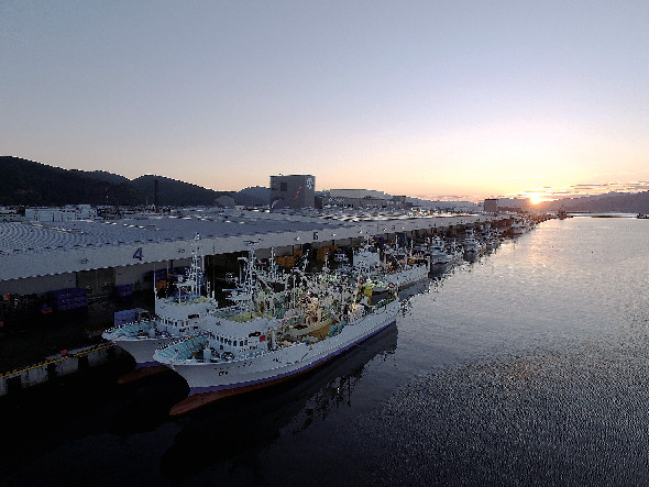 港側からの石巻魚市場