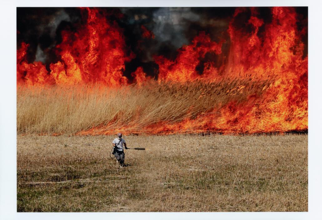 選考委員清水哲朗賞「新たな再生へ」