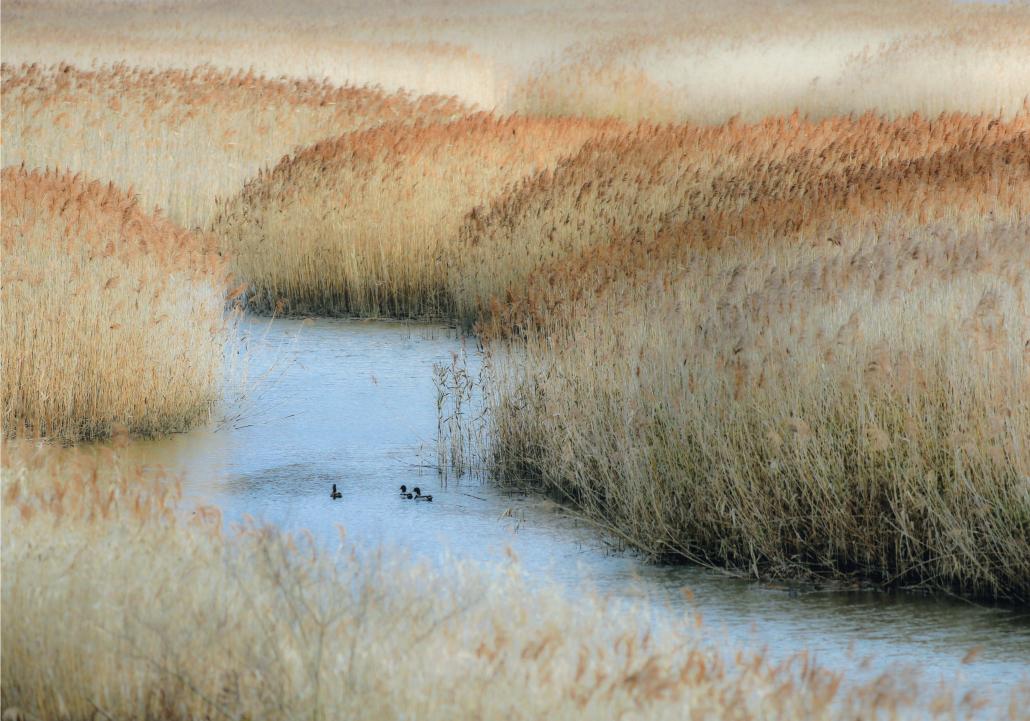 特別賞「冬の足音」