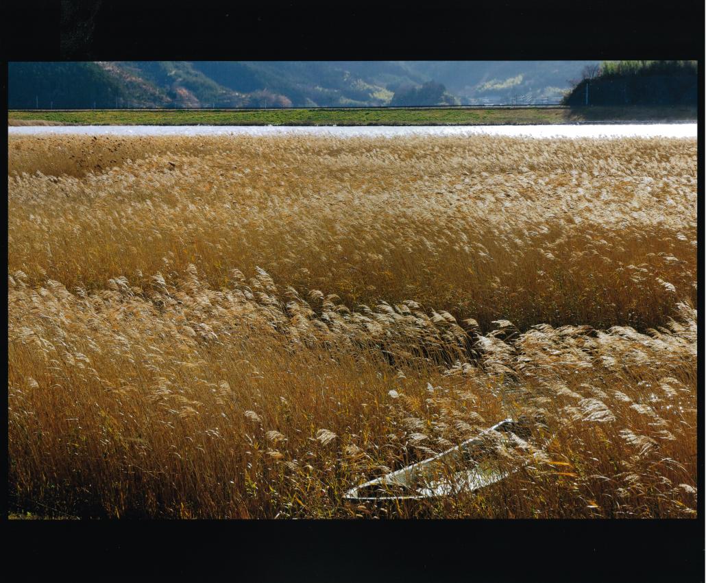 太平洋写真学校賞「遠望」