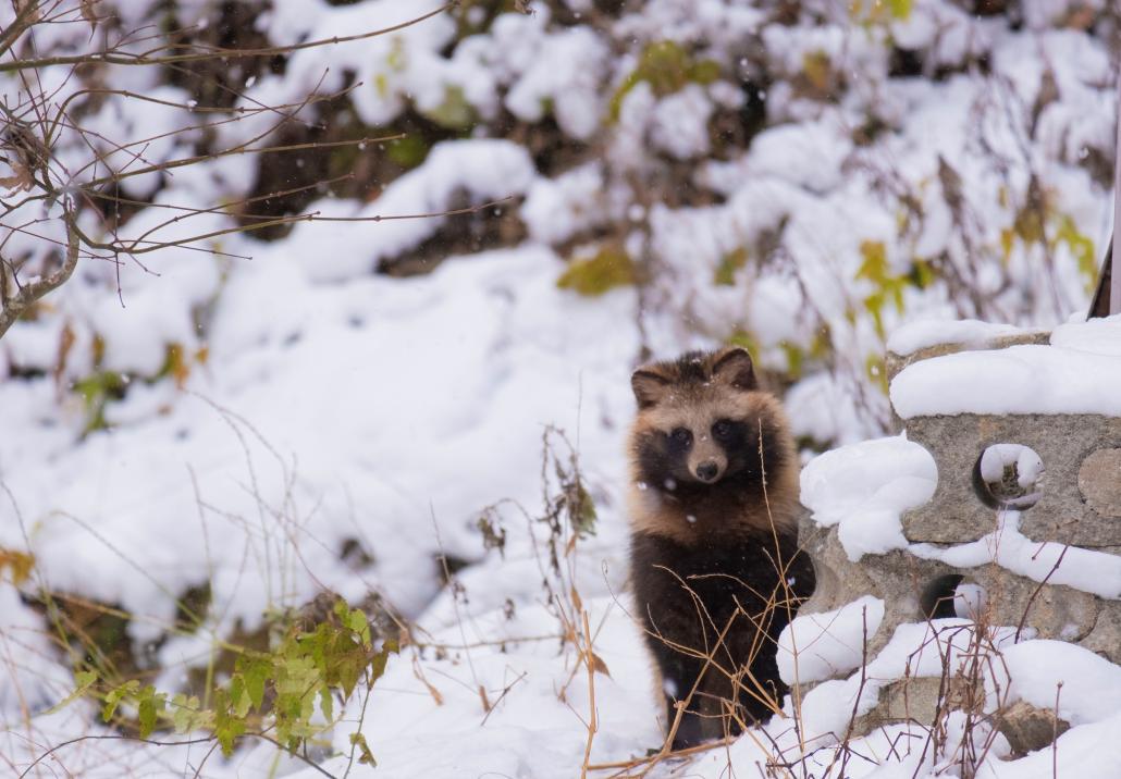 太平洋写真学校賞「しんしんと」