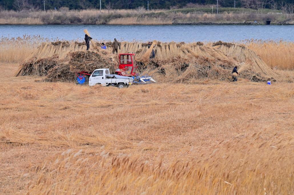 インスタグラム部門準グランプリ