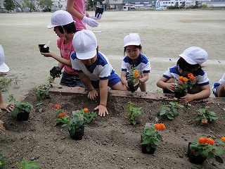 愛校活動3の画像