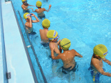 水泳学習3の画像